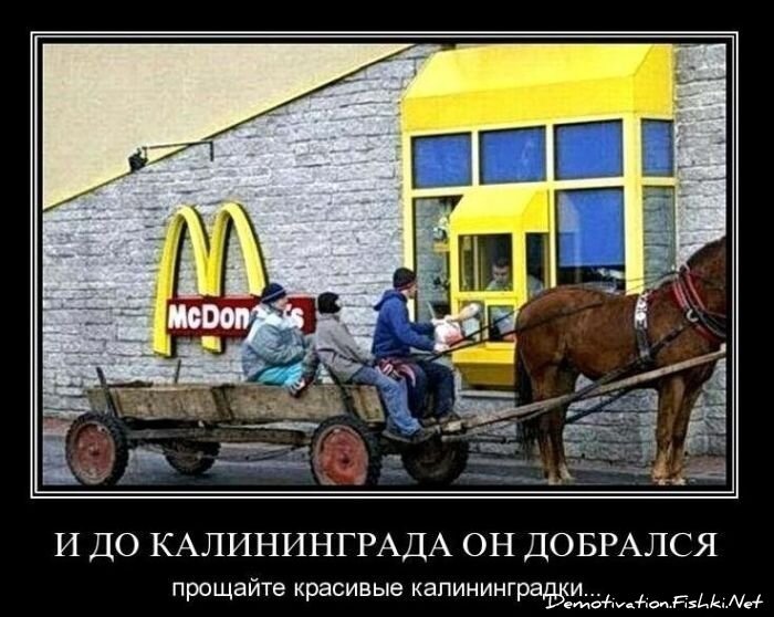 Демотиваторы, часть 89. (134 фото)