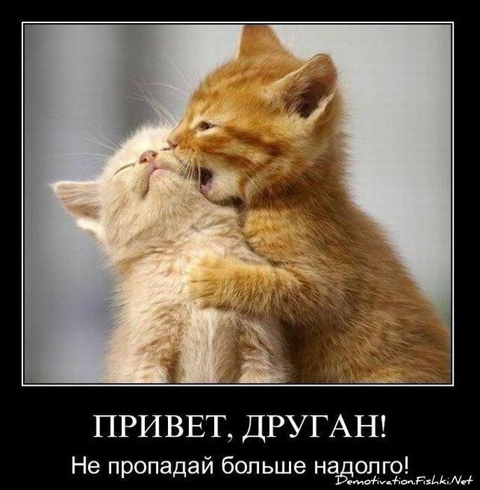 Смешной демотиватор от zubrilov за 01.12.2010 №61675