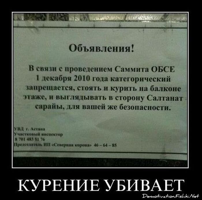 Смешной демотиватор от zubrilov за 01.12.2010 №61678