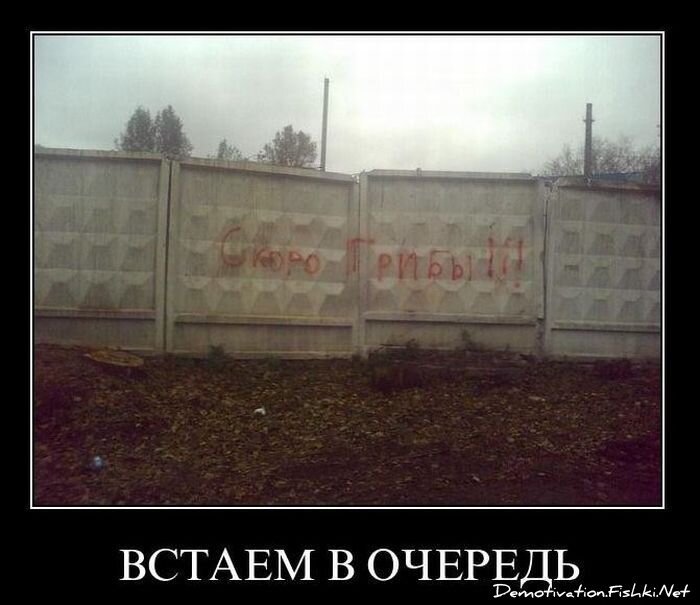 Смешной демотиватор от zubrilov за 01.12.2010 №61679