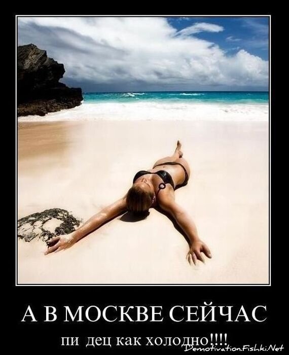 Смешной демотиватор от zubrilov за 01.12.2010 №61680