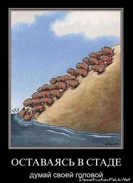 Смешной демотиватор от zubrilov за 01.12.2010 №61681