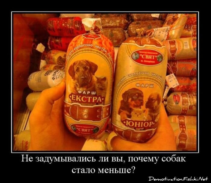 Смешной демотиватор от zubrilov за 01.12.2010 №61682