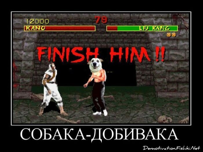 Смешной демотиватор от zubrilov за 01.12.2010 №61685