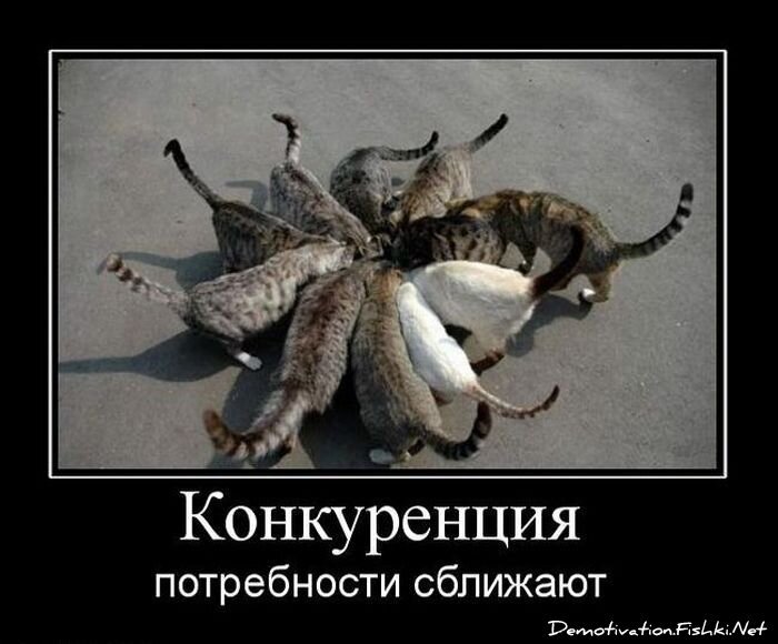 Смешной демотиватор от zubrilov за 01.12.2010 №61703