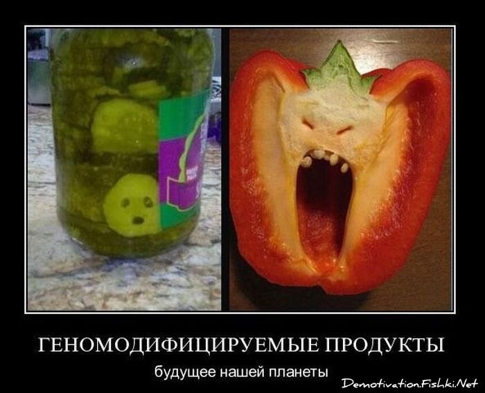 Смешной демотиватор от zubrilov за 01.12.2010 №61711