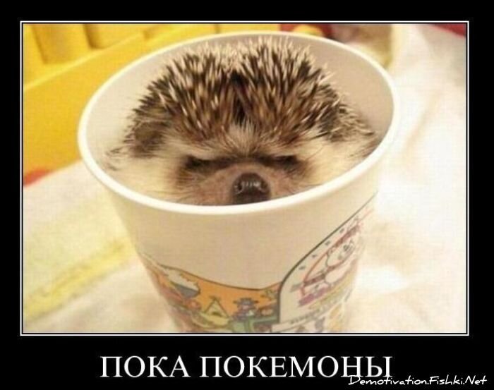 Смешной демотиватор от zubrilov за 01.12.2010 №61712