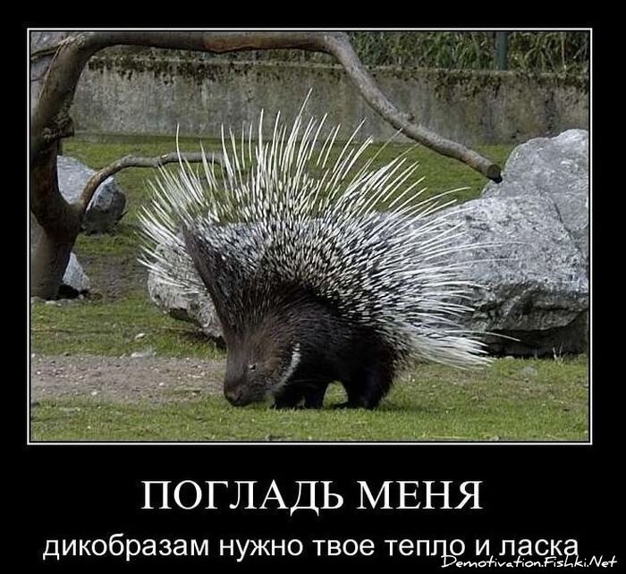 Смешной демотиватор от zubrilov за 01.12.2010 №61716