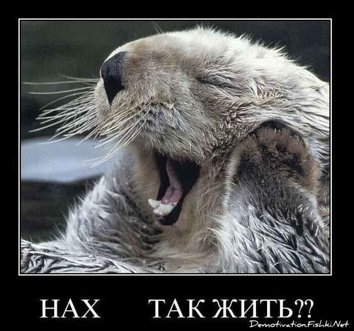 Смешной демотиватор от zubrilov за 01.12.2010 №61718