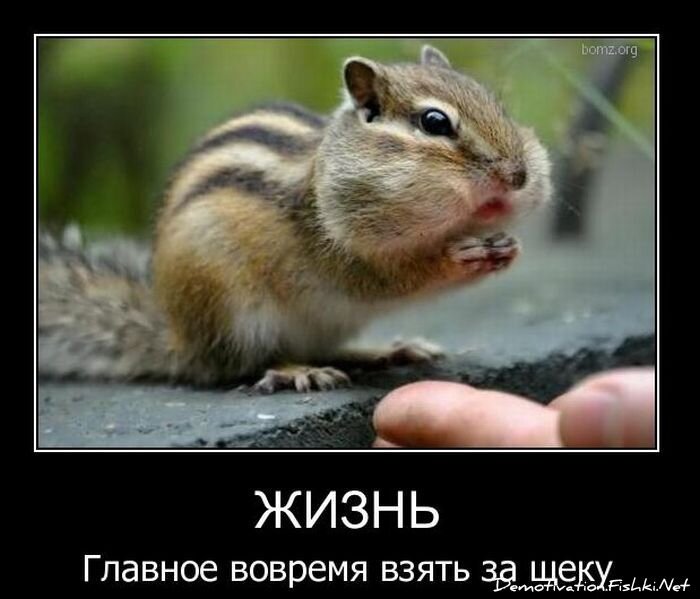 Смешной демотиватор от zubrilov за 01.12.2010 №61720