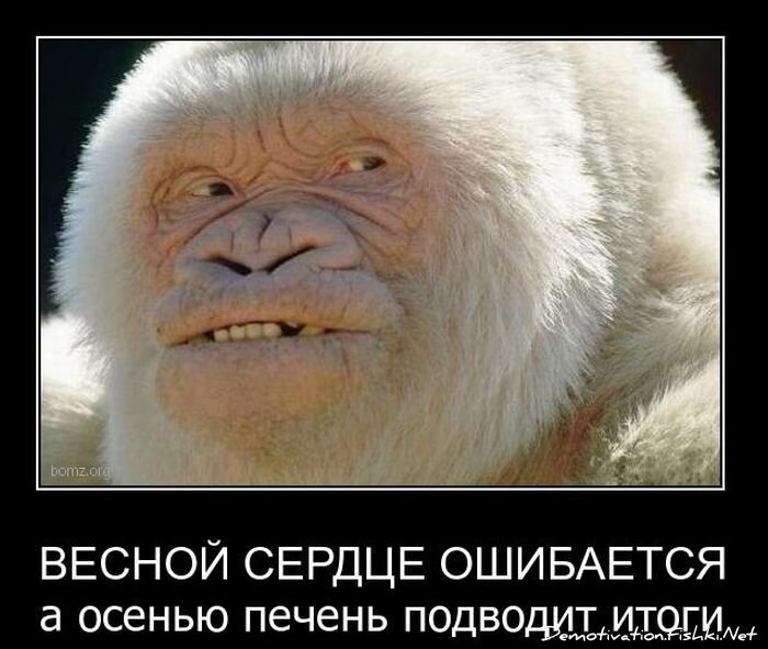 Смешной демотиватор от zubrilov за 01.12.2010 №61721