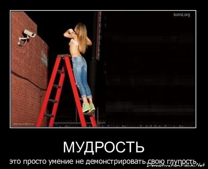 Смешной демотиватор от zubrilov за 01.12.2010 №61724