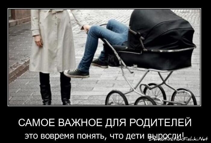 Смешной демотиватор от zubrilov за 01.12.2010 №61729