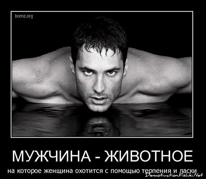 Смешной демотиватор от zubrilov за 01.12.2010 №61731