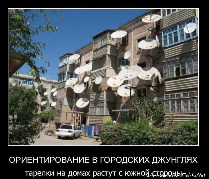 Смешной демотиватор от zubrilov за 01.12.2010 №61732