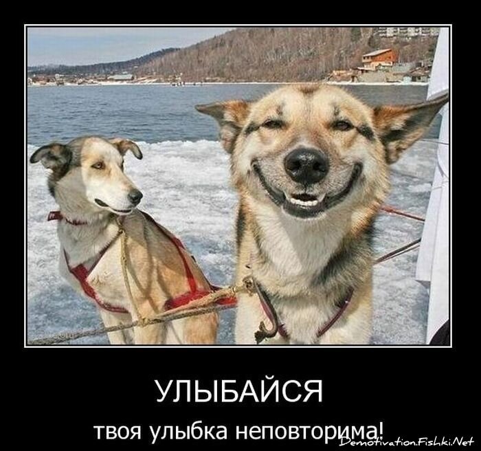 Смешной демотиватор от zubrilov за 01.12.2010 №61735