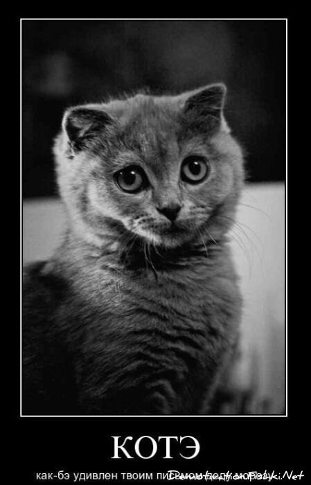 Смешной демотиватор от zubrilov за 01.12.2010 №61736