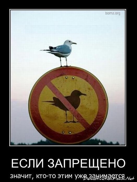 Смешной демотиватор от zubrilov за 01.12.2010 №61737