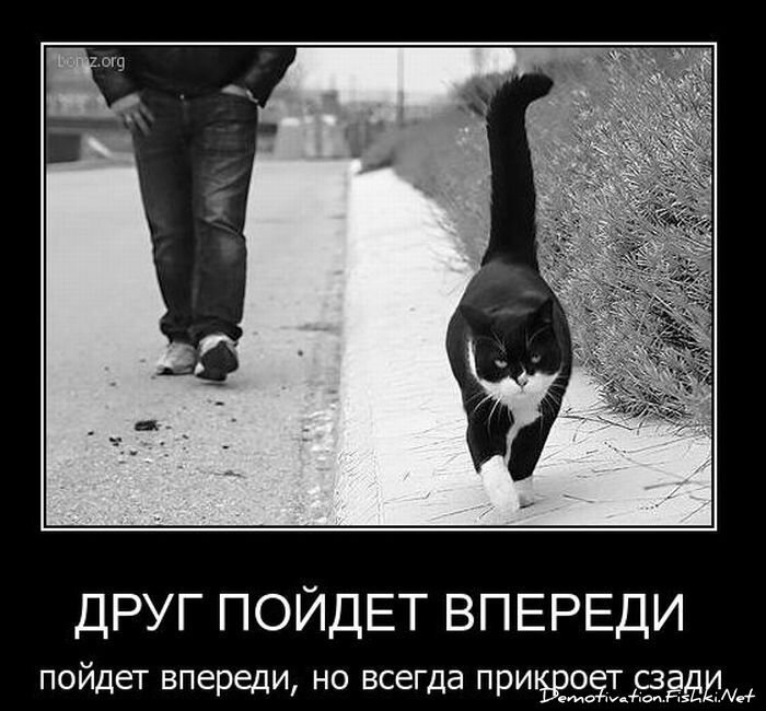 Смешной демотиватор от zubrilov за 01.12.2010 №61738