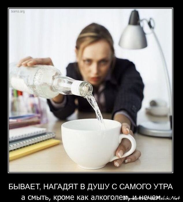 Смешной демотиватор от zubrilov за 01.12.2010 №61742