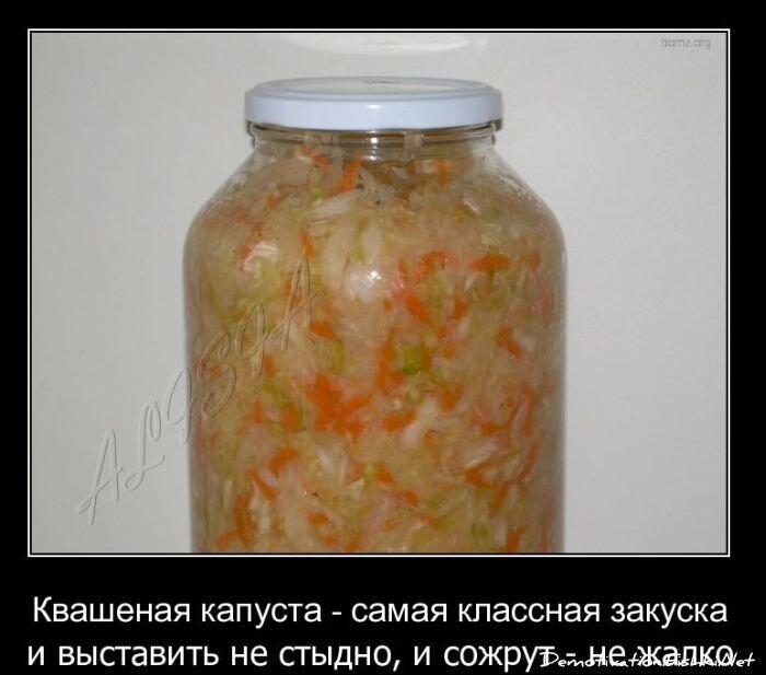 Смешной демотиватор от zubrilov за 01.12.2010 №61743