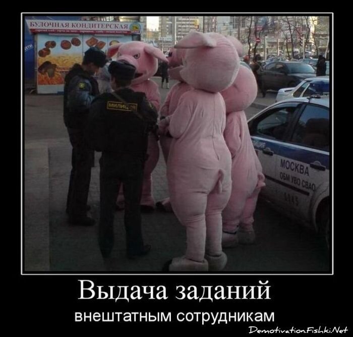 Смешной демотиватор от zubrilov за 03.12.2010 №61764