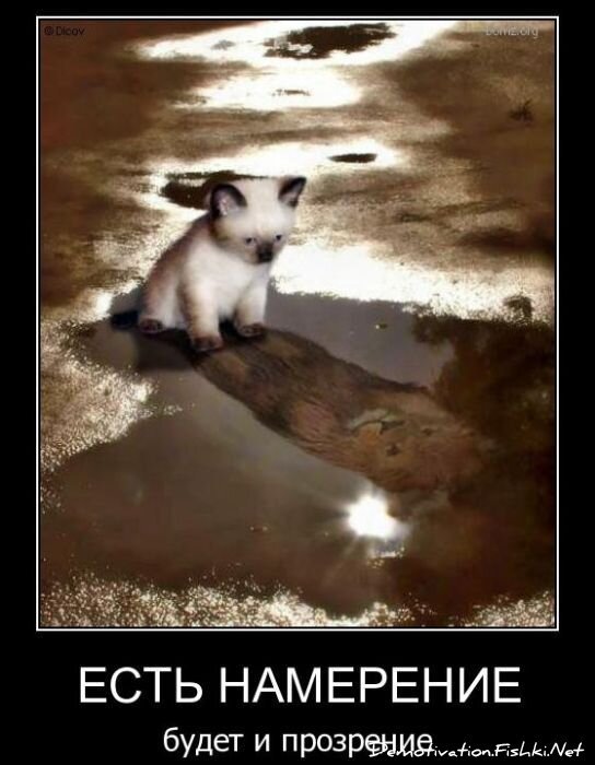 Смешной демотиватор от zubrilov за 03.12.2010 №61769