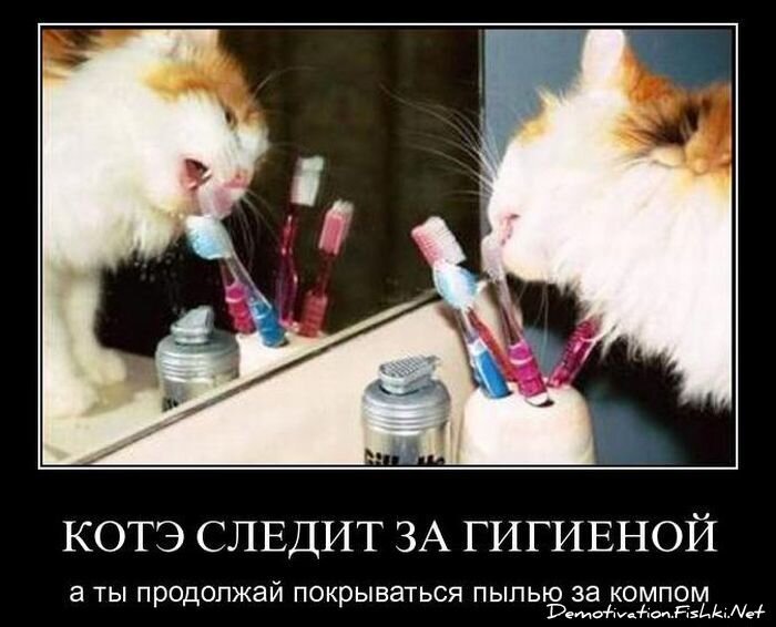 Смешной демотиватор от zubrilov за 03.12.2010 №61774