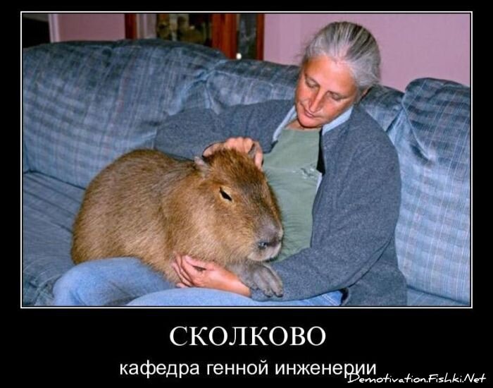 Смешной демотиватор от zubrilov за 03.12.2010 №61780