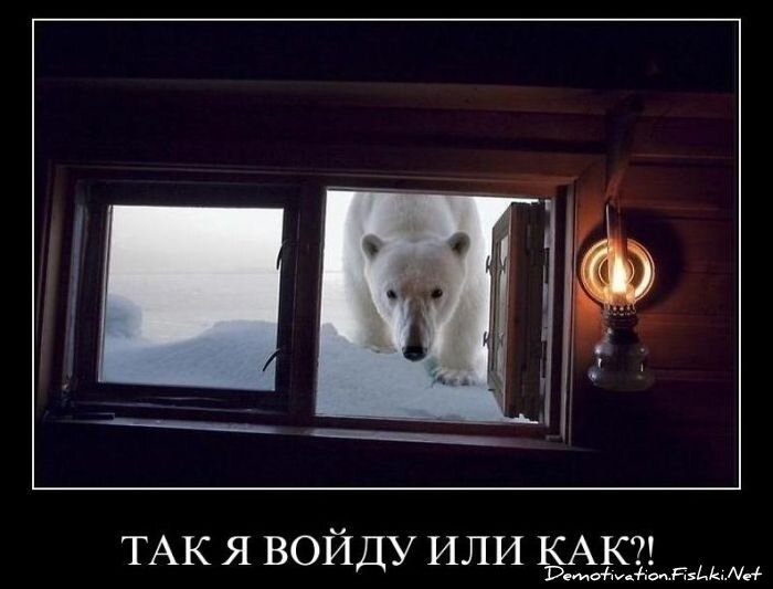 Смешной демотиватор от zubrilov за 03.12.2010 №61781