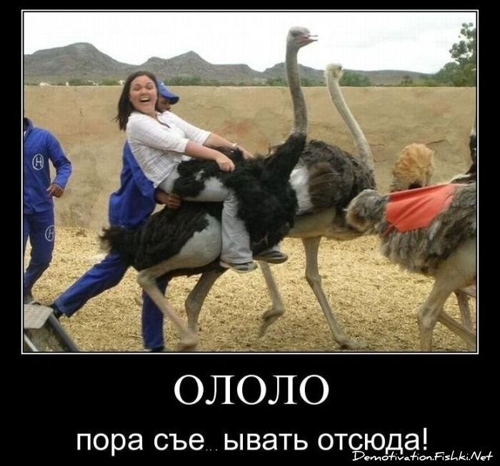 Смешной демотиватор от zubrilov за 03.12.2010 №61787