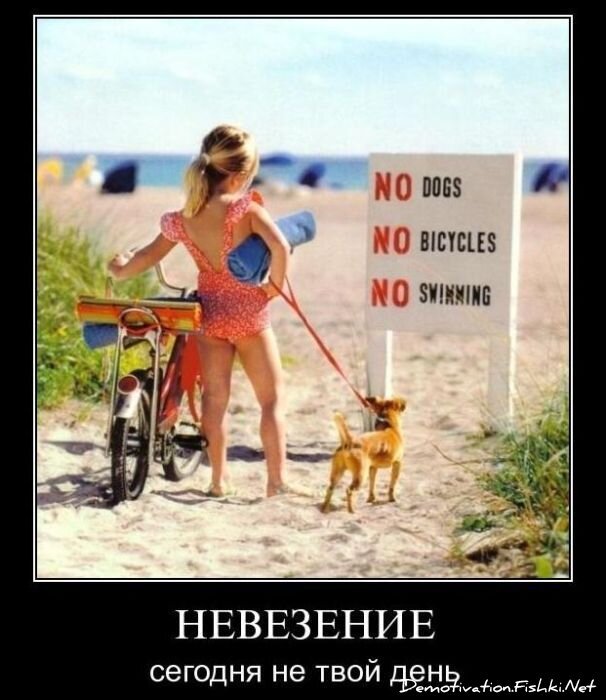 Смешной демотиватор от zubrilov за 03.12.2010 №61804