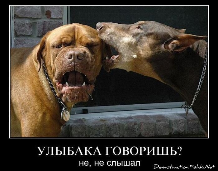 Смешной демотиватор от zubrilov за 03.12.2010 №61806