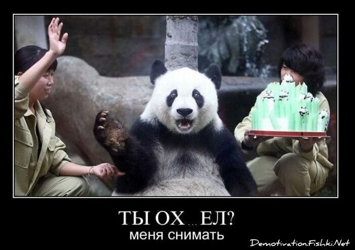 Смешной демотиватор от zubrilov за 03.12.2010 №61813