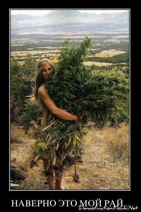 Смешной демотиватор от zubrilov за 03.12.2010 №61818