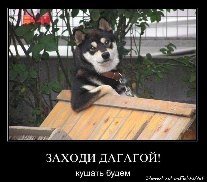 Смешной демотиватор от zubrilov за 03.12.2010 №61819