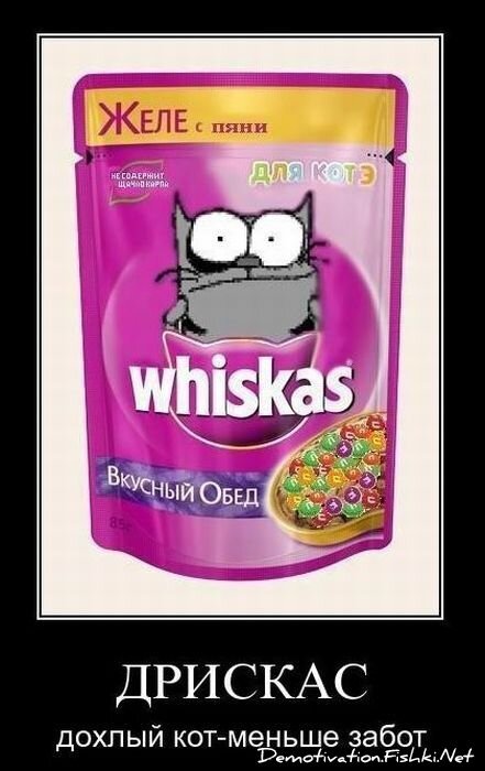 Смешной демотиватор от zubrilov за 03.12.2010 №61820