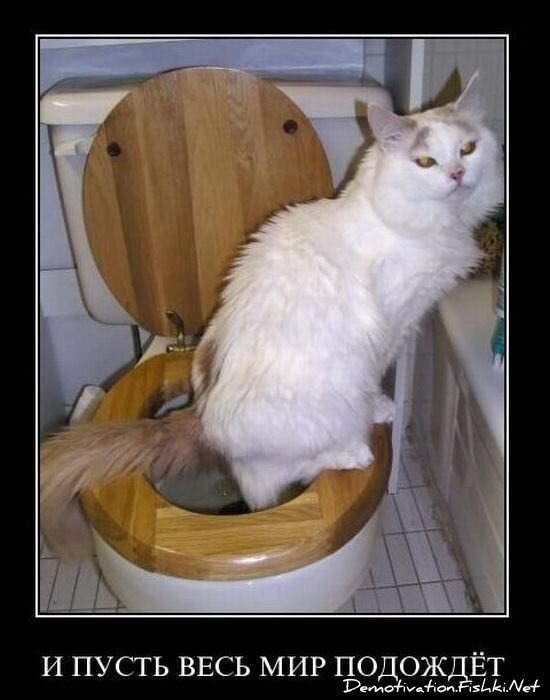 Смешной демотиватор от zubrilov за 03.12.2010 №61822