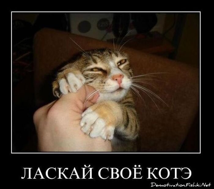 Смешной демотиватор от zubrilov за 03.12.2010 №61825