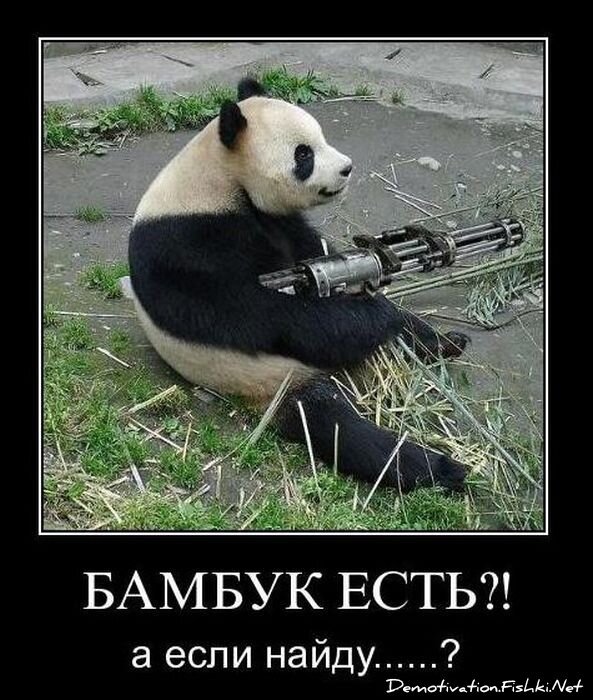 Смешной демотиватор от zubrilov за 03.12.2010 №61826