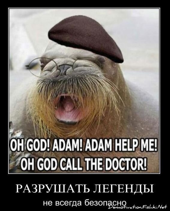 Смешной демотиватор от zubrilov за 03.12.2010 №61827