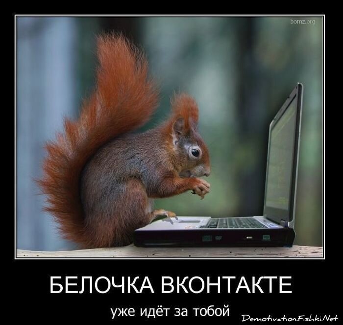 Смешной демотиватор от zubrilov за 03.12.2010 №61836