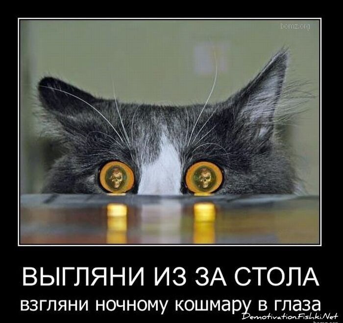 Смешной демотиватор от zubrilov за 03.12.2010 №61839