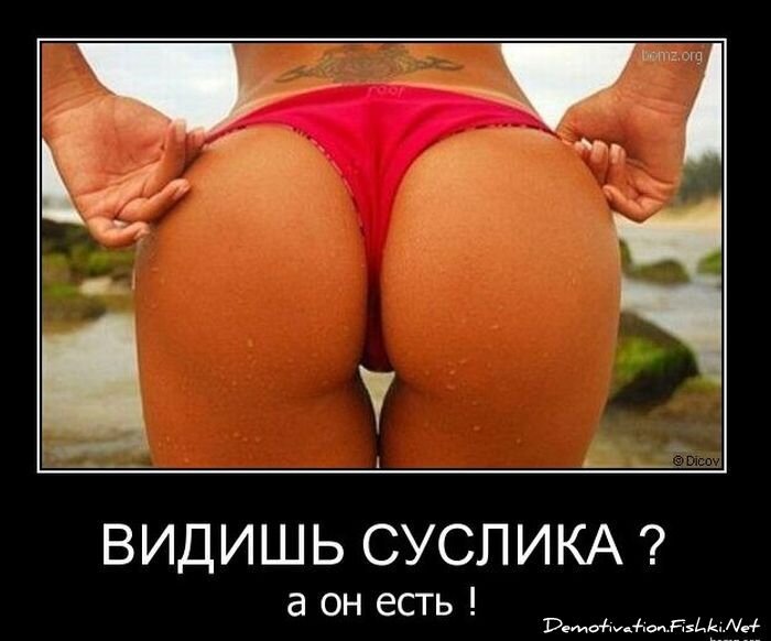 Смешной демотиватор от zubrilov за 03.12.2010 №61842