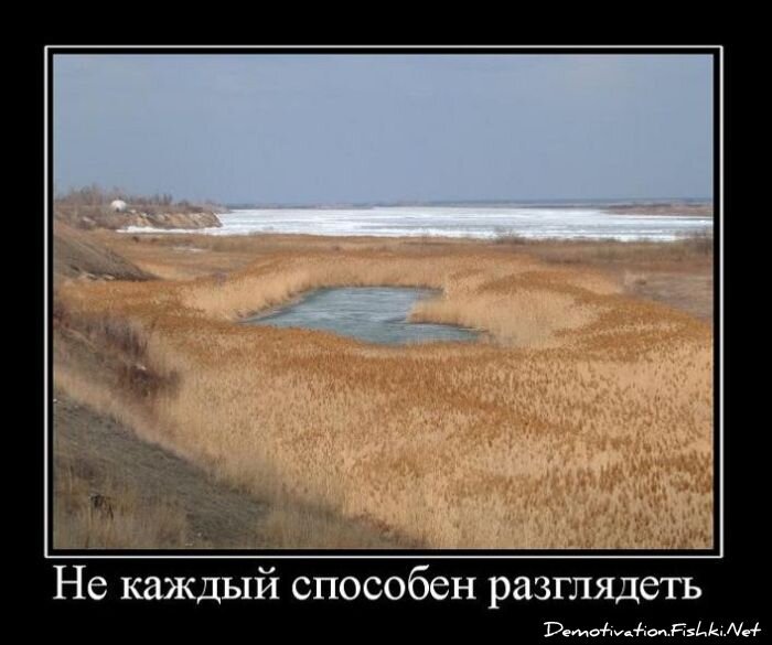 Смешной демотиватор от zubrilov за 03.12.2010 №61846