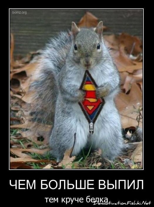 Смешной демотиватор от zubrilov за 03.12.2010 №61848