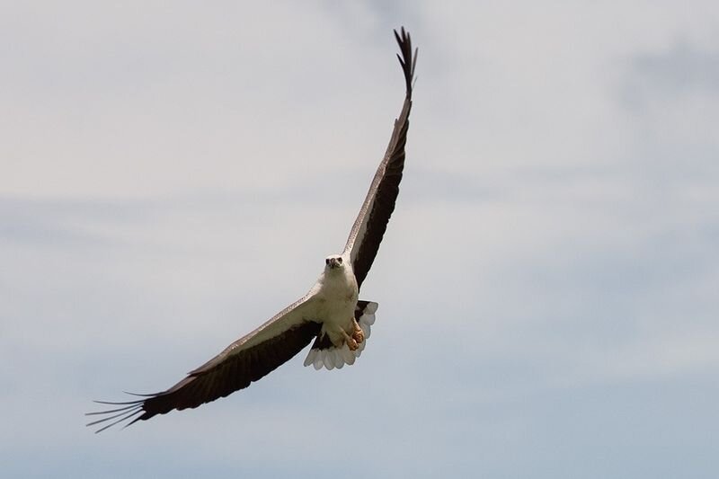 Прикольные фото и картинки от zubrilov за 03.12.2010 №61861