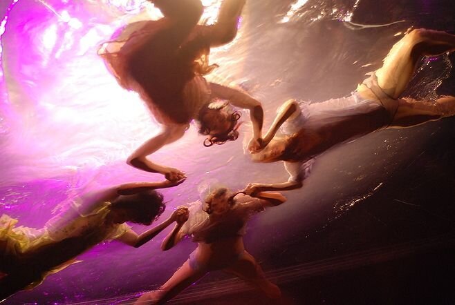 Фотография