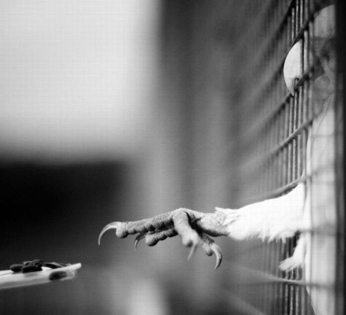 Прикольные фото и картинки от zubrilov за 03.12.2010 №61939