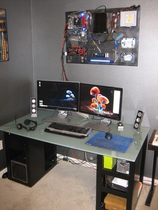 Фотография